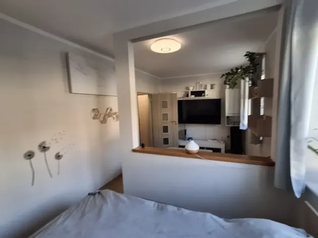 Prodej bytu 1+kk, Cheb, Žižkova, 32 m2