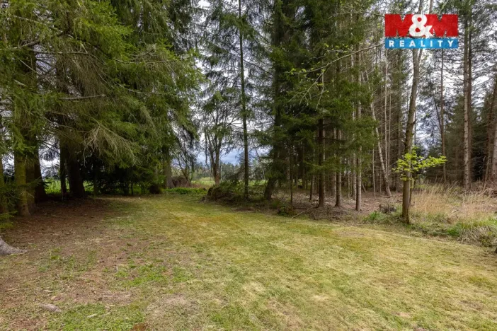 Prodej chalupy, Slavíkov - Dlouhý, 90 m2