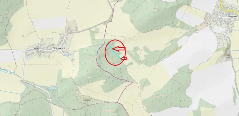 Prodej lesa, Dolany, 3023 m2