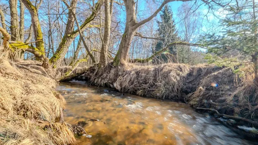 Prodej chaty, Petrovice II, 33 m2