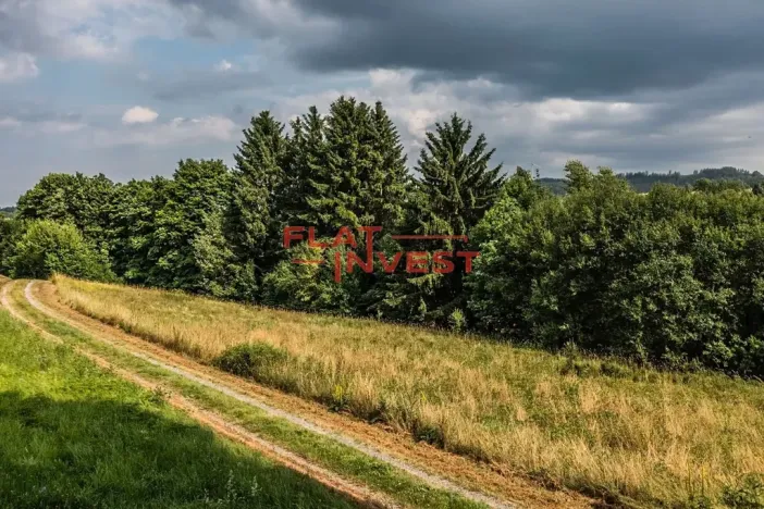 Prodej pozemku pro bydlení, Chotěvice, 1701 m2