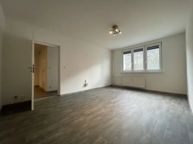 Pronájem bytu 2+1, Bílina - Teplické Předměstí, Sídliště U Nového nádraží, 53 m2