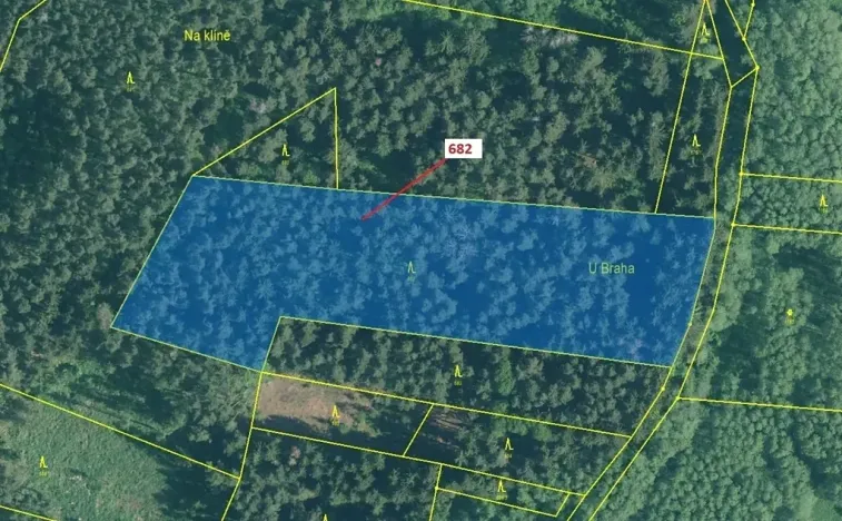 Dražba lesa, Kuřimany, 11584 m2