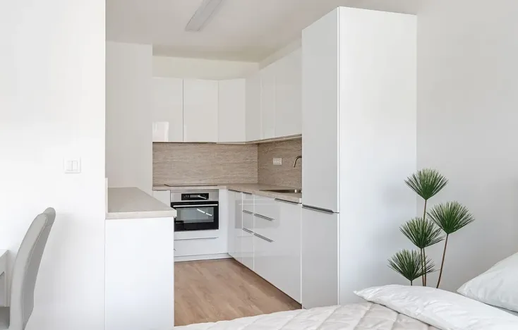 Pronájem bytu 1+kk, Brno - Veveří, Lidická, 52 m2