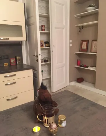 Pronájem bytu 2+kk, Liberec - Liberec I-Staré Město, Gorkého, 73 m2