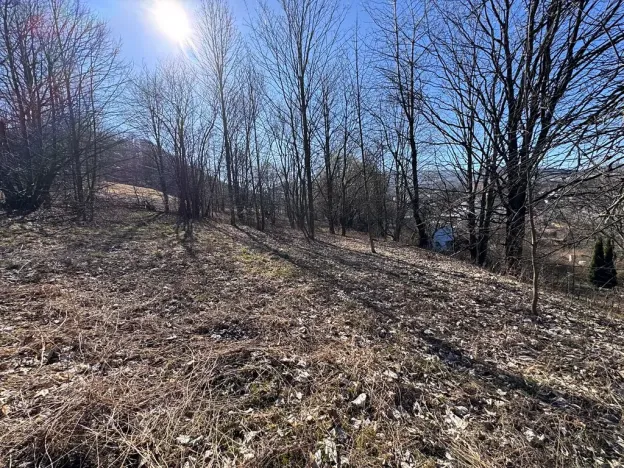 Prodej pozemku pro bydlení, Zlaté Hory, U Sv. Rocha, 5589 m2