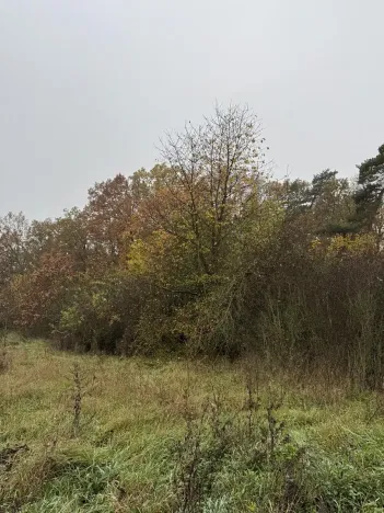 Prodej pozemku, Praha, 14747 m2