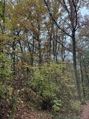 Prodej pozemku, Praha, 14747 m2