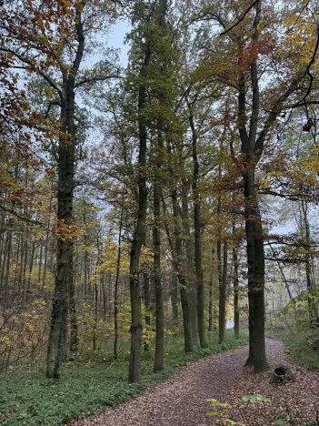 Prodej pozemku, Praha, 14747 m2