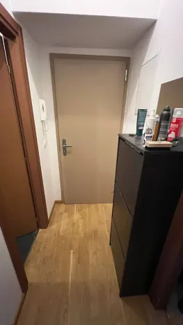 Pronájem bytu 3+kk, Praha - Vyšehrad, Neklanova, 60 m2