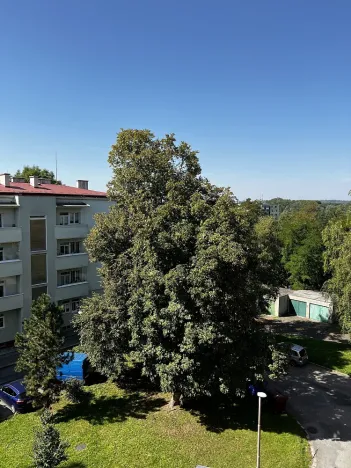 Pronájem bytu 2+1, Přerov - Přerov I-Město, Dvořákova, 69 m2