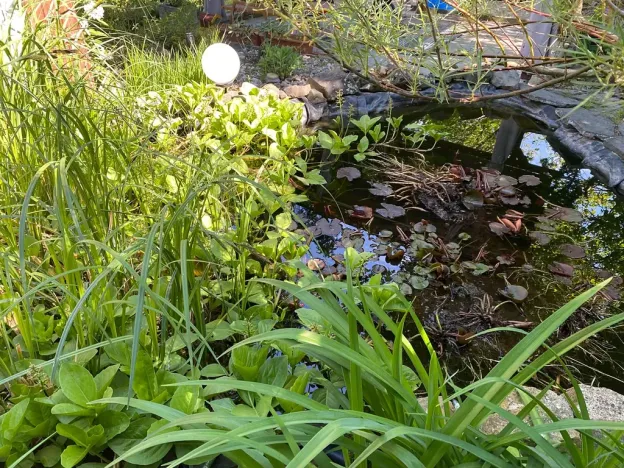 Prodej chaty, Malíč, Knobloška, 41 m2