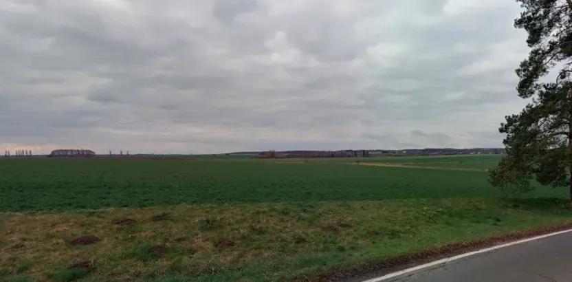 Prodej pole, Vinary, 12959 m2