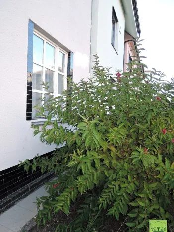 Prodej rodinného domu, Brno, Buzkova, 91 m2