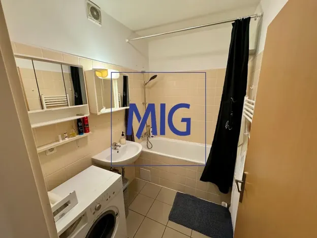 Pronájem bytu 1+kk, Brno, Tomečkova, 44 m2