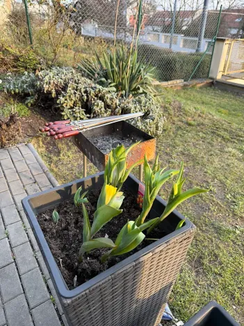 Prodej bytu 1+1, Praha - Michle, U plynárny, 37 m2