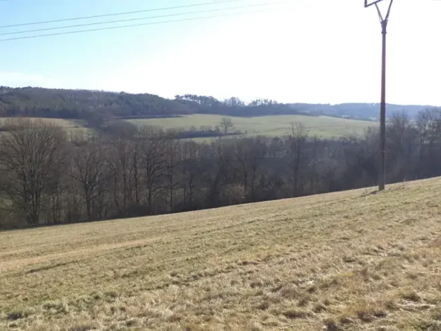 Dražba louky, Úštěk, 21164 m2