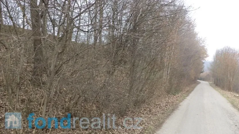 Prodej pole, Zvěstov, 51947 m2