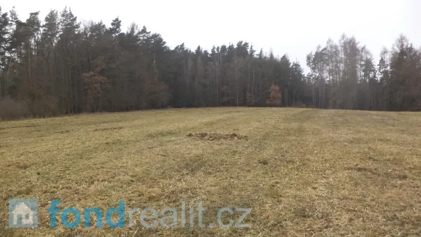 Prodej pole, Zvěstov, 51947 m2