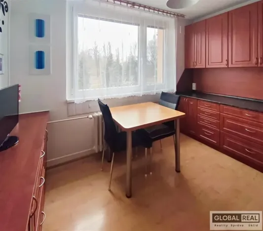 Pronájem bytu 1+1, Jihlava, Březinova, 32 m2