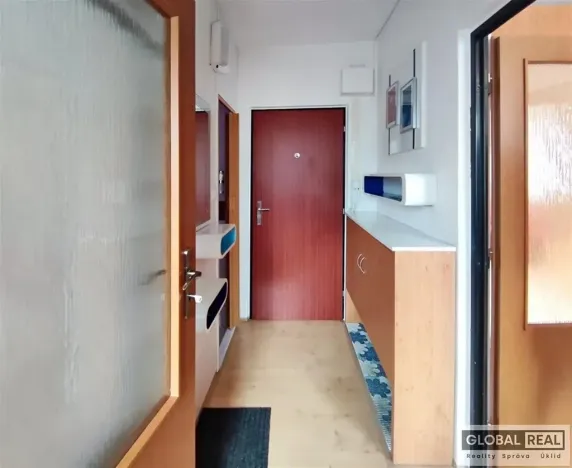 Pronájem bytu 1+1, Jihlava, Březinova, 32 m2