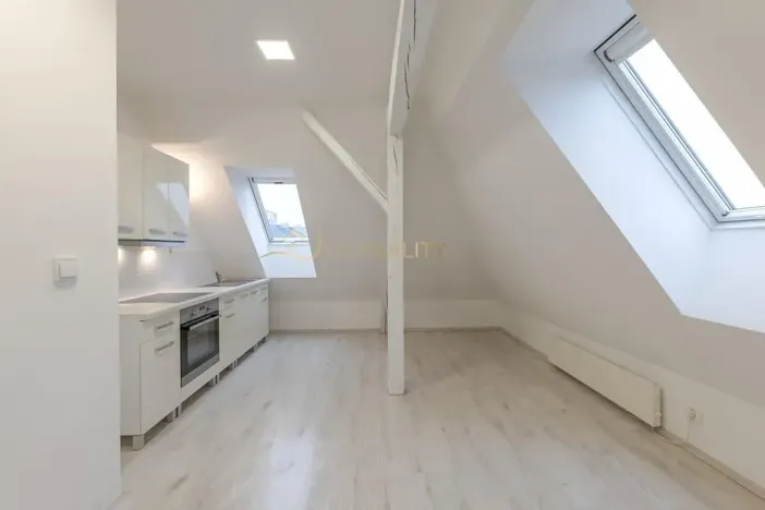 Prodej rodinného domu, Olomouc, Husitská, 210 m2