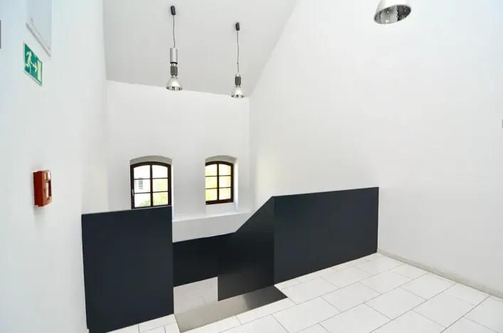 Prodej bytu 6+kk a větší, Praha - Karlín, Šaldova, 194 m2