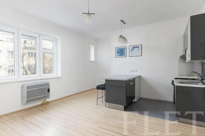 Prodej bytu 1+kk, Praha - Žižkov, Biskupcova, 28 m2