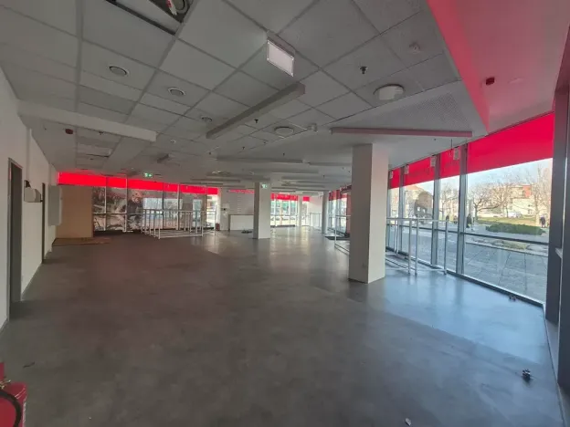 Pronájem obchodního prostoru, Praha - Holešovice, Jankovcova, 291 m2