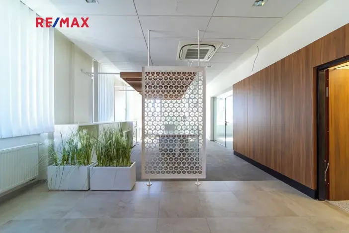 Prodej obchodního prostoru, Králíky, 5. května, 519 m2