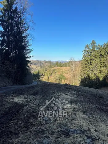 Prodej louky, Bozkov, 15029 m2