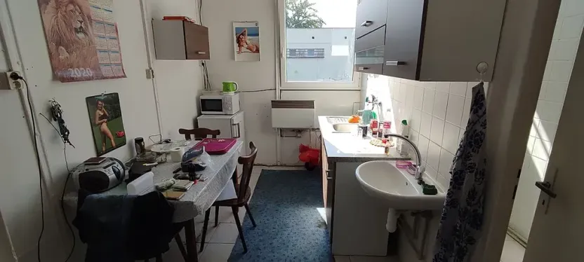 Prodej obchodního prostoru, Cheb, Lesní, 220 m2