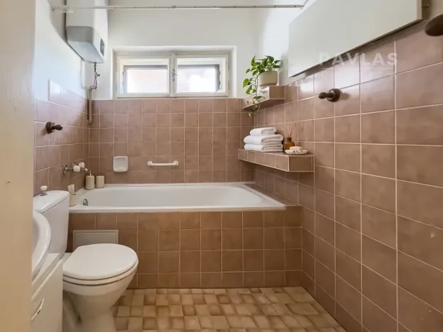 Prodej vícegeneračního domu, Veselí nad Lužnicí, náměstí T. G. Masaryka, 570 m2