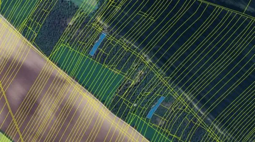 Prodej podílu lesa, Morašice, 698 m2