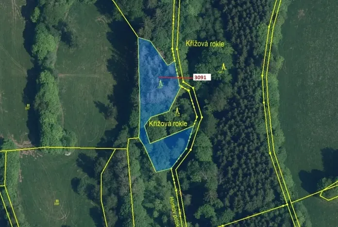 Dražba lesa, Benešov u Semil, 1964 m2