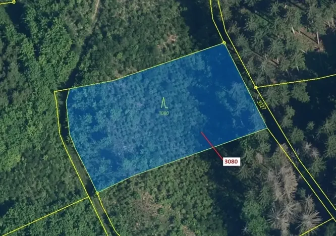 Dražba lesa, Benešov u Semil, 2540 m2