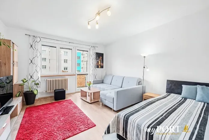 Pronájem bytu 1+1, Plzeň, Pod Lesem, 48 m2