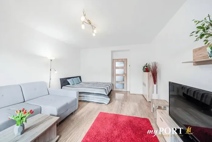 Pronájem bytu 1+1, Plzeň, Pod Lesem, 48 m2