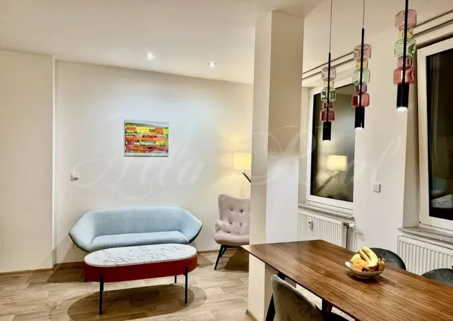 Pronájem bytu 1+kk, Brno - Brno-město, Kobližná, 50 m2