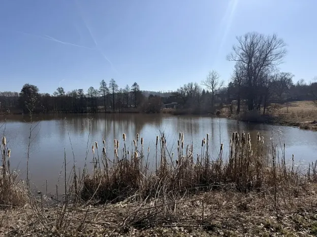 Prodej pozemku pro bydlení, Velká Bukovina, 997 m2