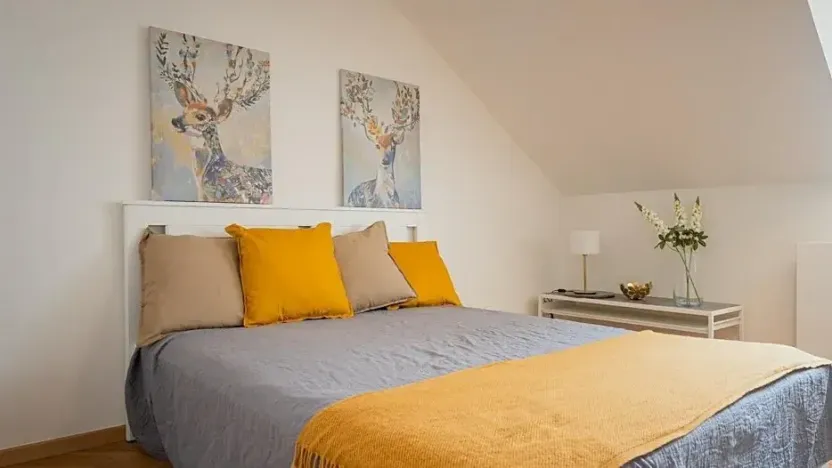 Pronájem bytu 1+kk, Praha - Staré Město, Kozí, 31 m2