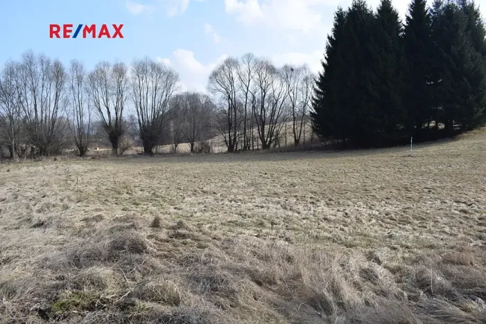 Prodej pozemku pro bydlení, Lipová-lázně, 3795 m2