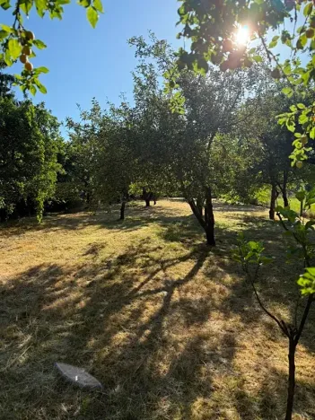 Pronájem zahrady, Olomouc, 1051 m2