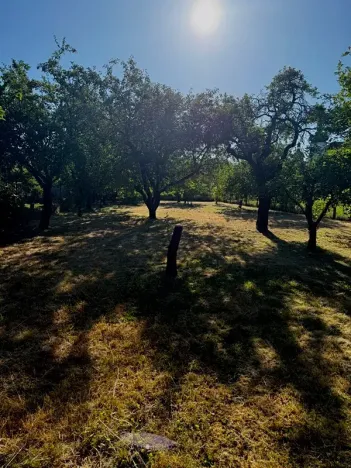 Pronájem zahrady, Olomouc, 1051 m2