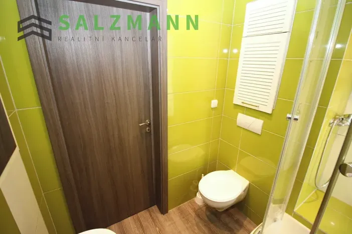 Pronájem bytu 3+kk, Plzeň, Rokycanská, 54 m2