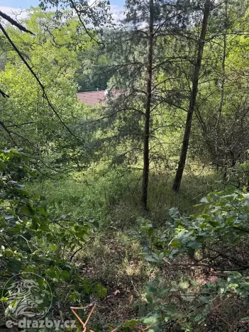 Dražba pozemku pro bydlení, Dubá, 226 m2