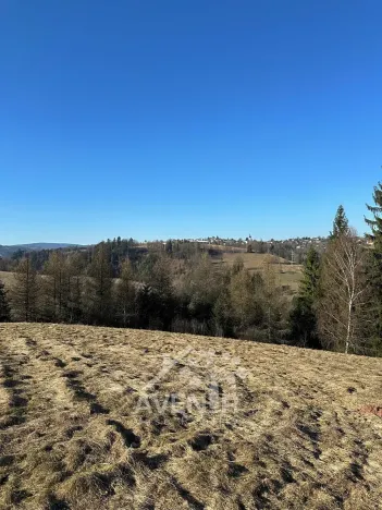 Prodej louky, Bozkov, 14441 m2