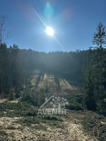 Prodej louky, Bozkov, 14441 m2