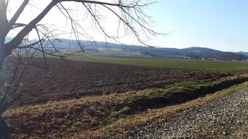 Prodej pozemku pro bydlení, Libina, 12500 m2