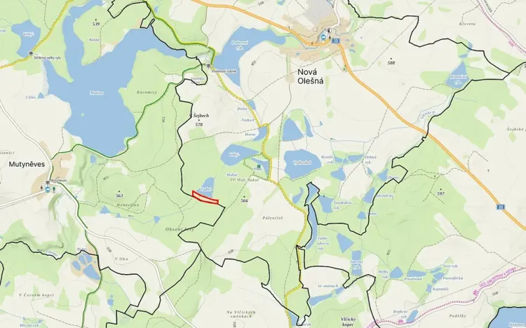 Prodej lesa, Nová Olešná, 9963 m2